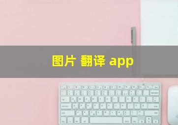 图片 翻译 app